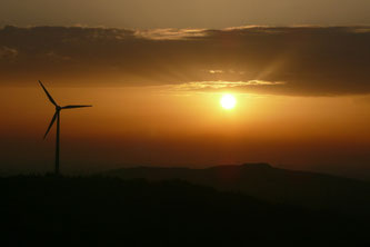 Windrad auf der Halde Hoppenbruch in Herten im Sonnenuntergang
